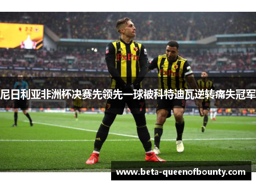 尼日利亚非洲杯决赛先领先一球被科特迪瓦逆转痛失冠军