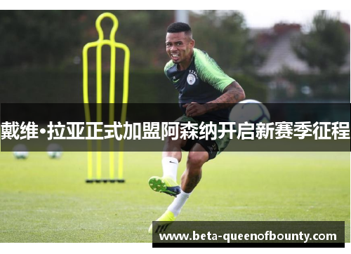 戴维·拉亚正式加盟阿森纳开启新赛季征程 戴维·拉亚正式加盟阿森纳开启新赛季征程